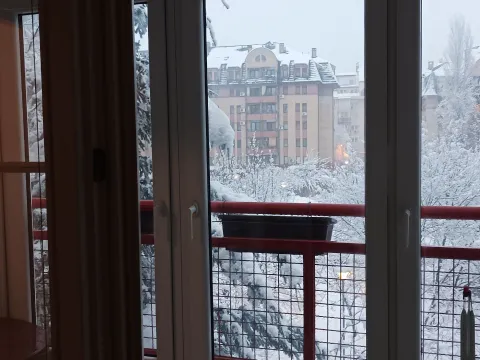 Rent, two bedroom apartment, 60m², Bežanijska Kosa Sve Podlokacije, Beograd - image 20