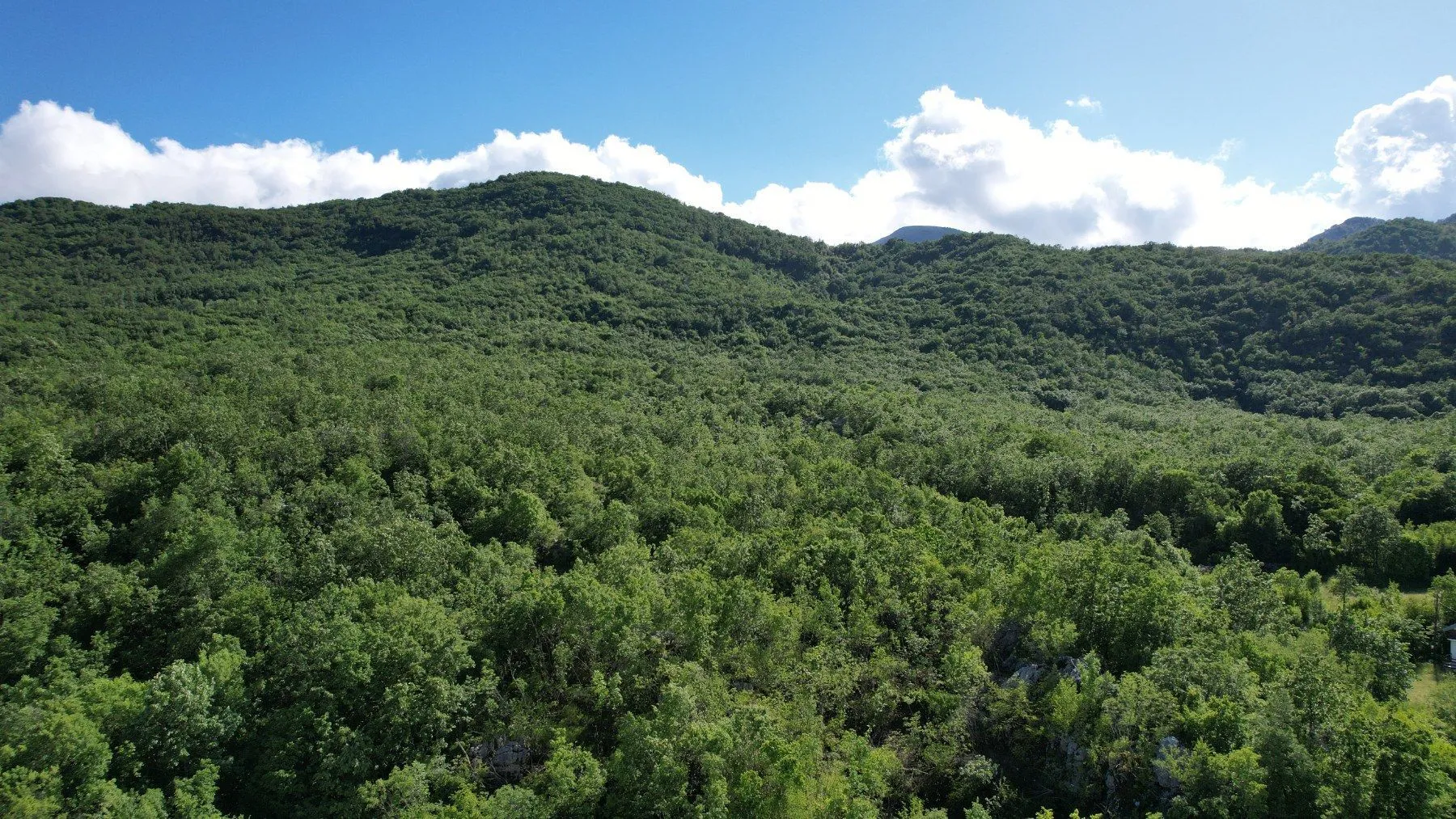 Sale, land lot, 35940m², Stanišići, Budva