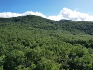 Sale, land lot, 35940m², Stanišići, Budva - image 16