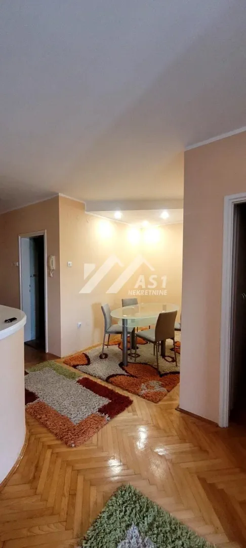 Dining area with a table, chairs, and rugs in the apartment.