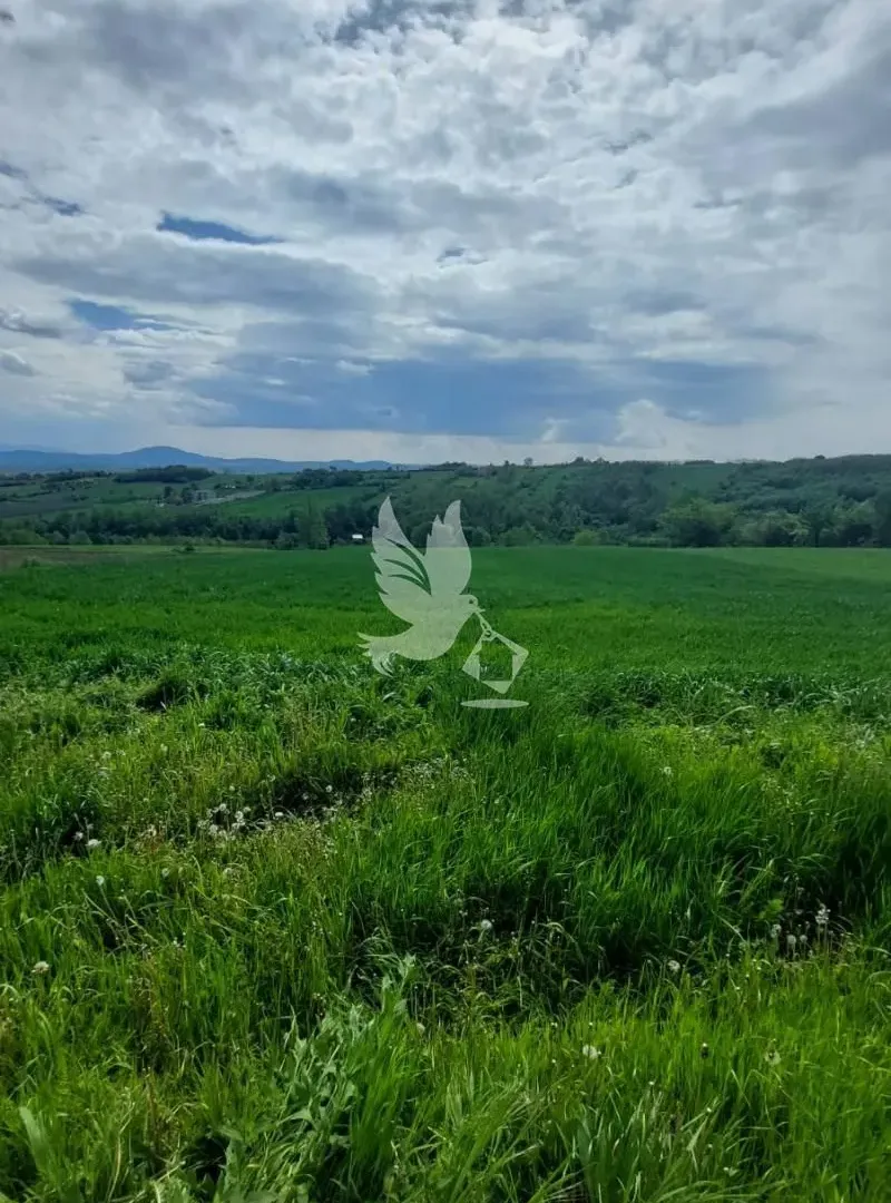 Prodaja, plac, 4000m², Koraćica, Mladenovac
