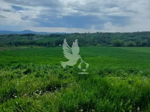 Sale, land lot, 4000m², Koraćica, Mladenovac - image 4