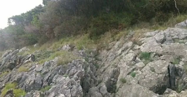 Prodaja, plac, 2000m², Bar, Crna Gora
