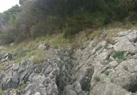 Prodaja, plac, 2000m², Bar, Crna Gora - image 8