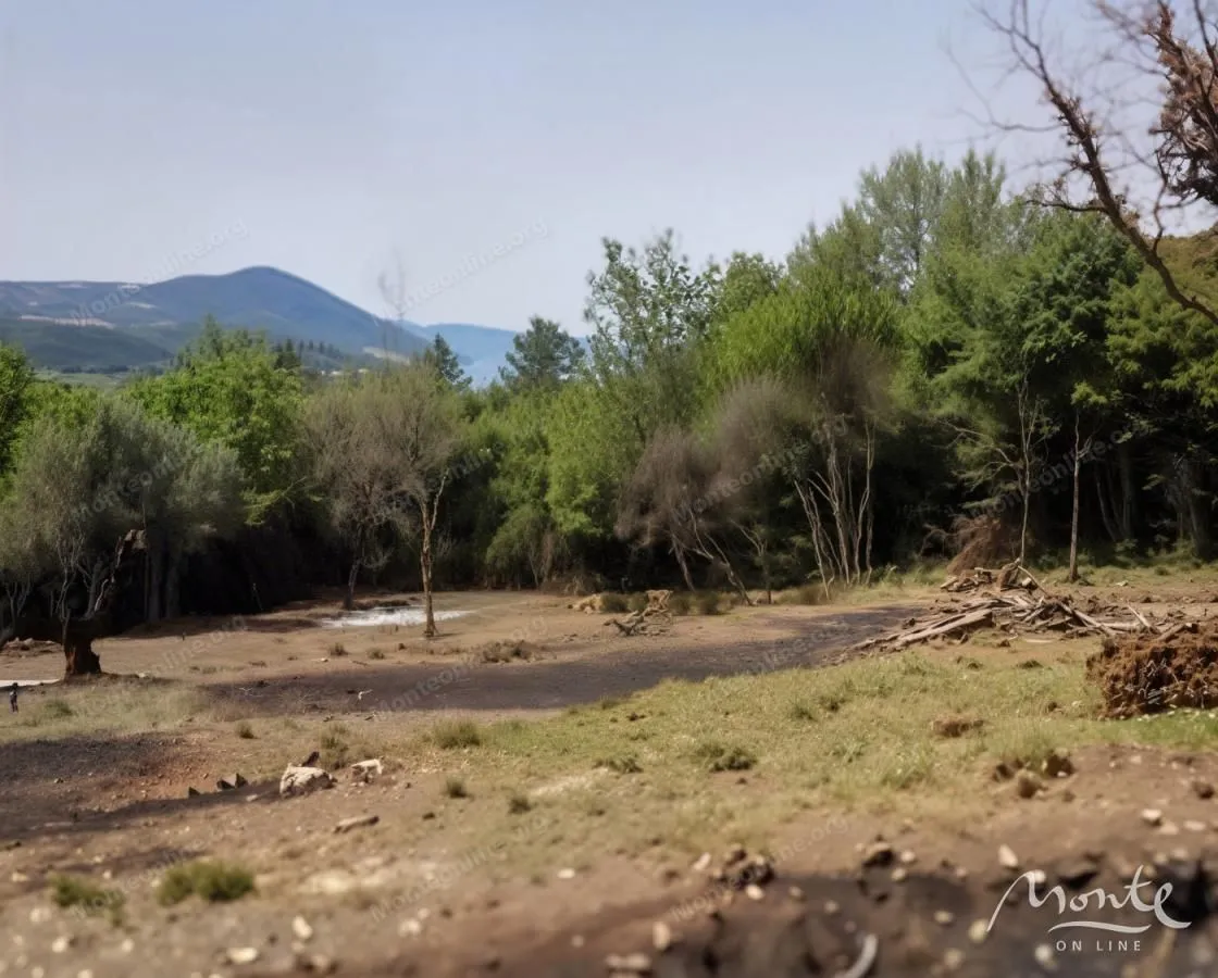 Prodaja, plac, 4347m², Dub, Kotor