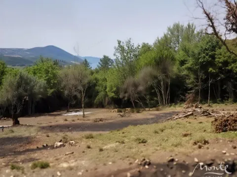 Prodaja, plac, 4347m², Dub, Kotor - image 5