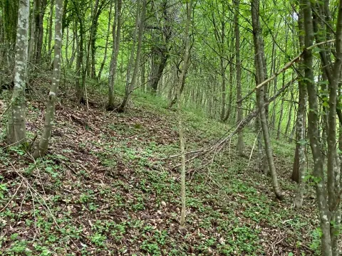 Prodaja, plac, 13789m², Bijelo Polje, Podgorica - image 9