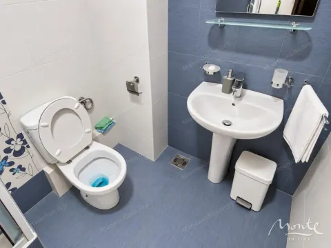 Kupatilo opremljeno WC šoljom, umivaonikom i plavim pločicama. - image 7