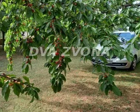 Prodaja, kuća, 158m², Sremska Kamenica, Petrovaradin - image 13