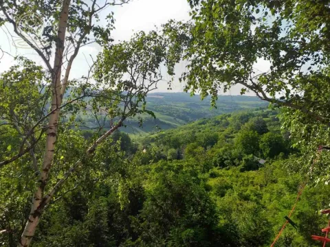 Prodaja, kuća, 367m², Irig, Srbija - image 15