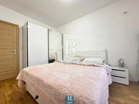 Izdavanje, jednosoban stan, 50m², Stari Aerodrom, Podgorica - image 8