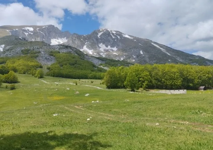 Prodaja, kuća, 119m², Pošćenski Kraj, Žabljak