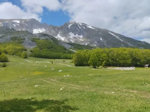 Prodaja, kuća, 119m², Pošćenski Kraj, Žabljak - image 12