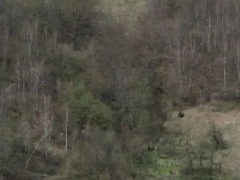 Prodaja, plac, 7254m², Jabuka, Kolašin - image 2