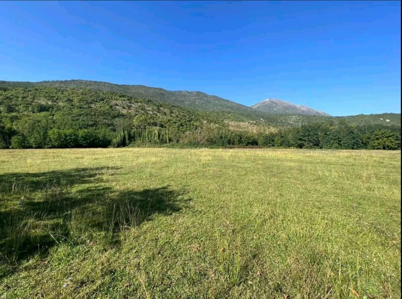 Sale, land lot, 5181m², Ćurilac, Danilovgrad