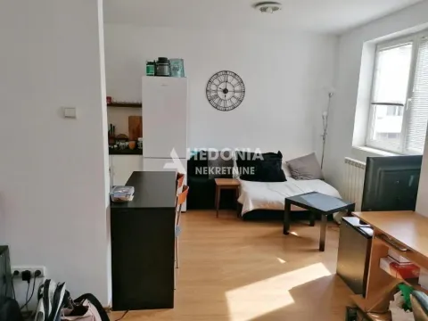 Stan in Filmski Grad