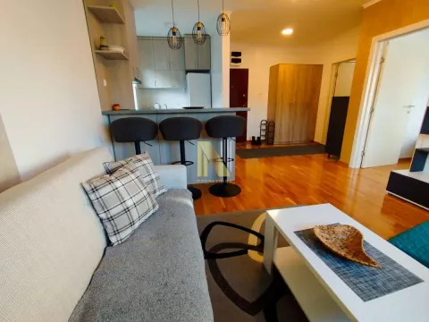 Izdavanje, jednosoban stan, 42m², Telep, Novi Sad Sve Podlokacije - image 5