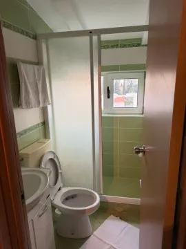 Manje kupatilo sa tuš kabinom i zelenim pločicama. - image 13