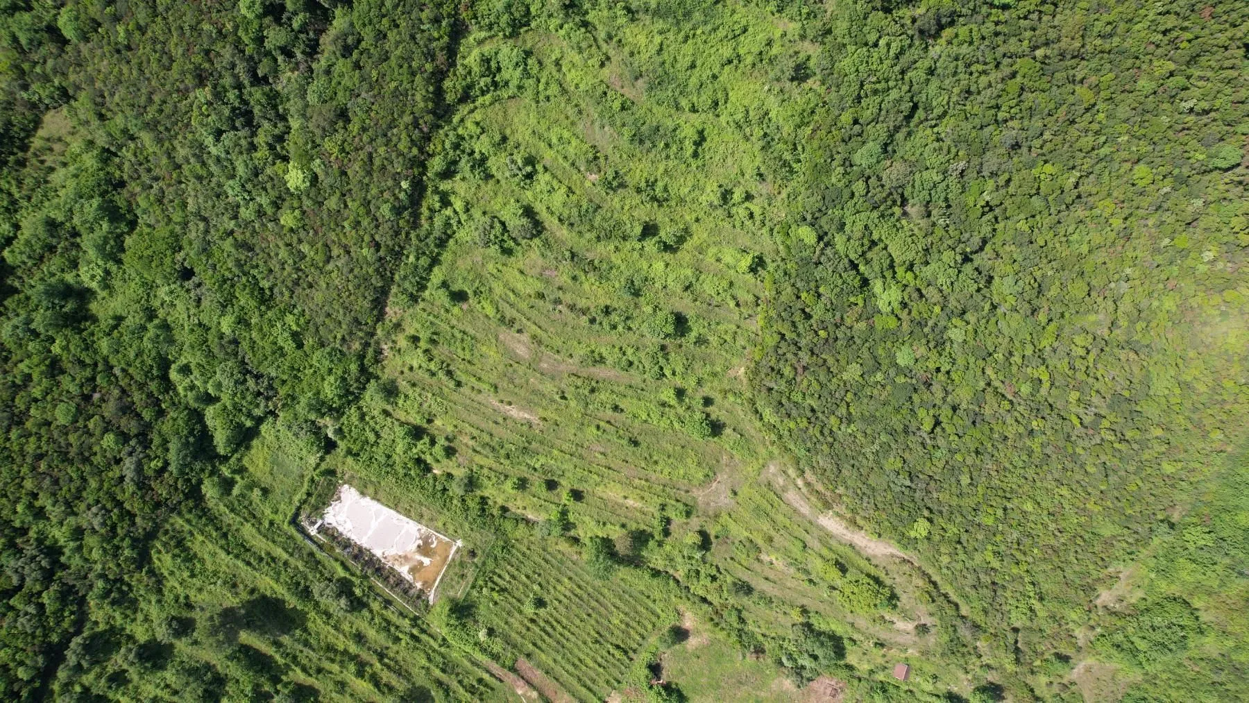 Prodaja, plac, 83000m², Radanovići, Kotor