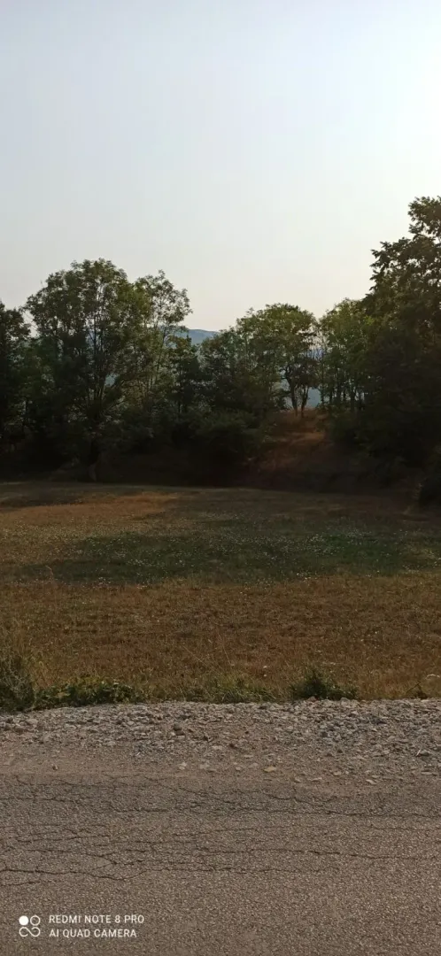 Travnati plac okružen drvećem pored puta.