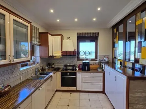 Sale, house, 400m², Sremska Kamenica, Petrovaradin - image 9