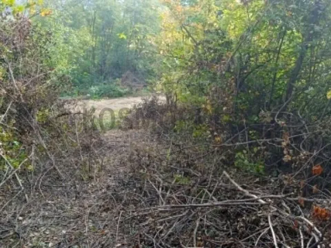 Prodaja, plac, 2700m², Cvetanova Ćuprija, Zvezdara Sve Podlokacije - image 7