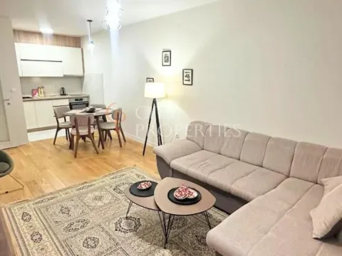 Izdavanje, stan, 49m², Central Point, Podgorica - image 4