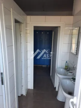 Izdavanje, poslovni prostor, 2600m², Bački Petrovac, Novi Sad - image 5