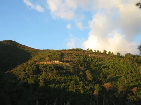 Prodaja, plac, 9500m², Budva, Crna Gora - image 3