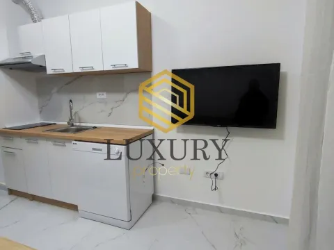 Izdavanje, garsonjera, 32m², Zabjelo, Podgorica - image 7