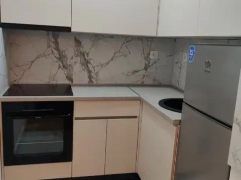 Izdavanje, dvosoban stan, 48m², Avijatičarsko naselje, Novi Sad Sve Podlokacije - image 5