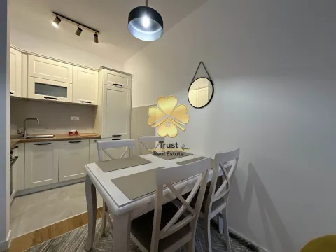 Izdavanje, jednosoban stan, 48m², Central Point, Podgorica - image 4