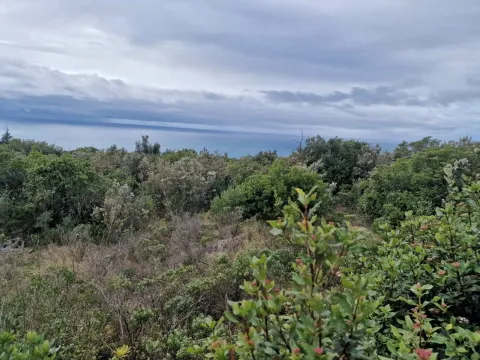 Prodaja, plac, 5000m², Zagora, Kotor - image 8