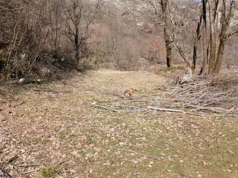 Prodaja, plac, 30604m², Cetinje, Crna Gora - image 2