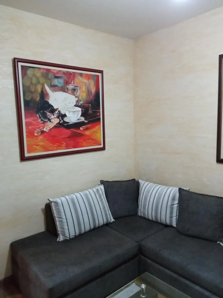 Izdavanje, jednosoban stan, 55m², Preko Morače, Podgorica