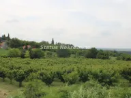 Sale, land lot, 114m², Krčedin, Inđija - image 7