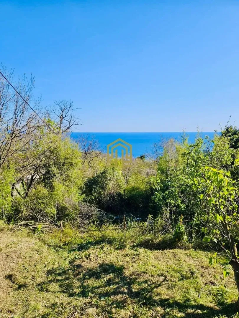 Pogled na more kroz drveće sa parcele.