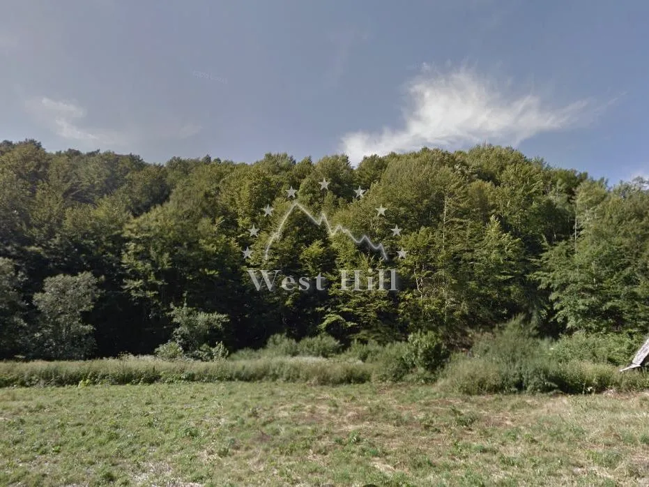 Sale, land lot, 140000m², Kolašin, Crna Gora