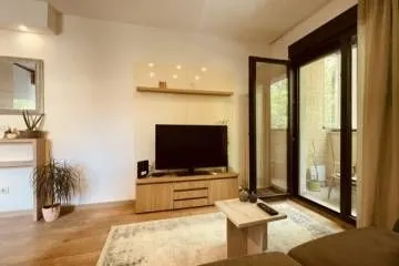 Izdavanje, dvosoban stan, 39m², Banjica, Voždovac Sve Podlokacije - image 3
