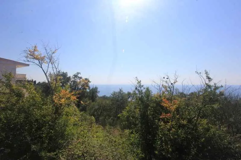 Pogled na more kroz zelenilo sa sunčanim nebom.