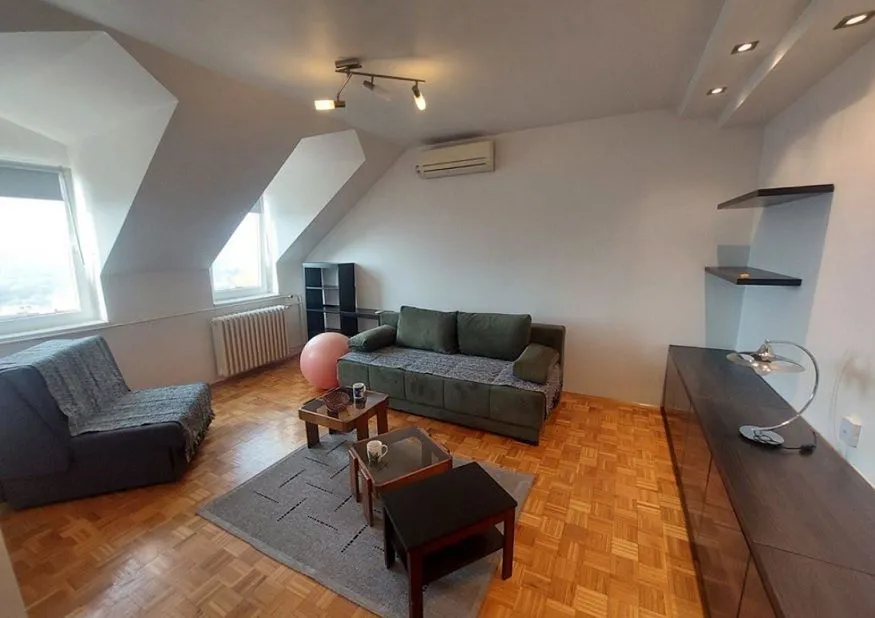 Living room with a sofa, coffee tables, and roof windows.