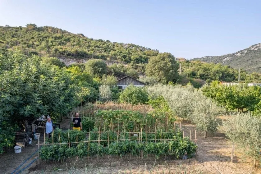 Prodaja, plac, 1820m², Bar, Crna Gora