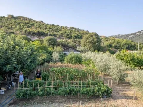 Prodaja, plac, 1820m², Bar, Crna Gora - image 2