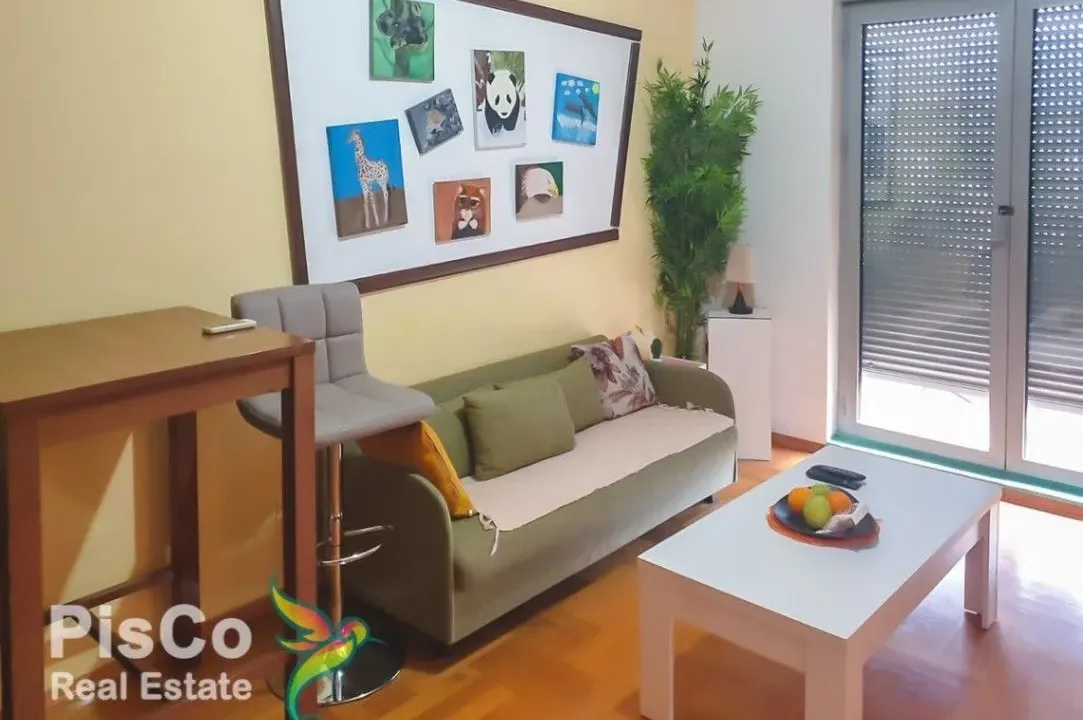 Izdavanje, jednosoban stan, 45m², Kod Big Fashion-a, Podgorica