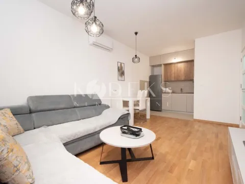 Izdavanje, jednosoban stan, 44m², Pobrežje, Podgorica - image 3