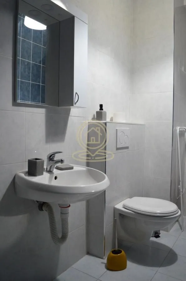 Rent, one bedroom apartment, 33m², Vračar Hram, Vračar Sve Podlokacije