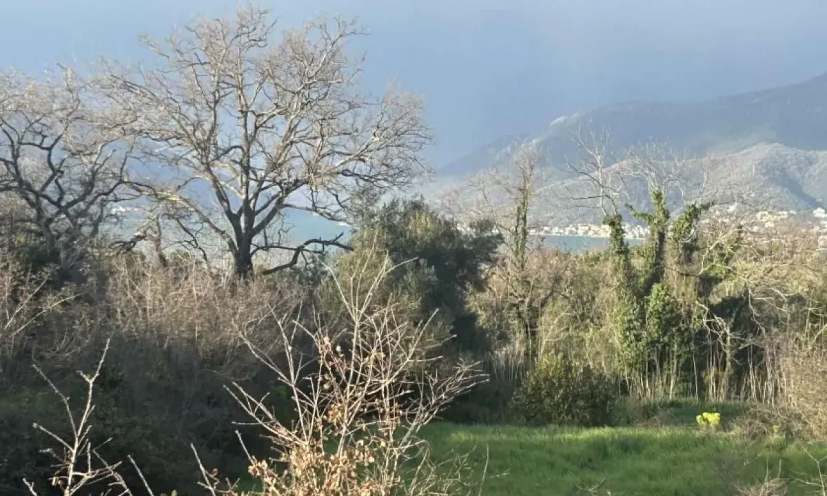 Prodaja, plac, 1700m², Gošići, Tivat
