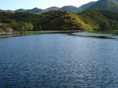 Sale, land lot, 16400m², Rijeka Crnojevića, Cetinje - image 6