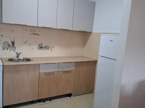 Rent, one bedroom apartment, 52m², Zabjelo, Podgorica - image 3