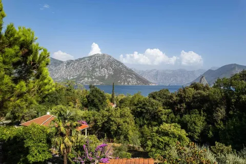 Pogled na more i planine sa zelenilom u prvom planu. - image 16